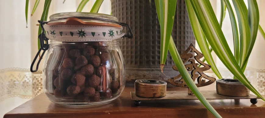 Para todos, Thermomix. Cereales de desayuno al cacao.