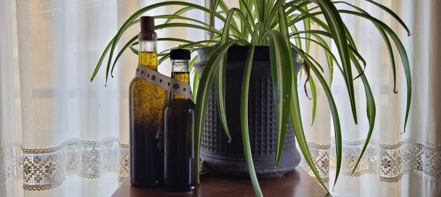 Para todos, Thermomix. Aceite de ceniza.