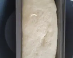 Step <p>Vierta la masa sobre una superficie de trabajo espolvoreada con harina y amásela ligeramente formando un cilindro. Coloque la masa en el molde reservado y deje reposar hasta que doble su volumen (aprox. 60 minutos, en función de la temperatura ambiente). Mientras tanto, lave el vaso.</p> illustration