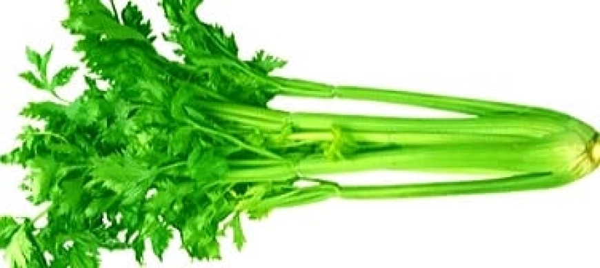 Un apio y un Thermomix. Recetas y trucos de #aprovechamiento.