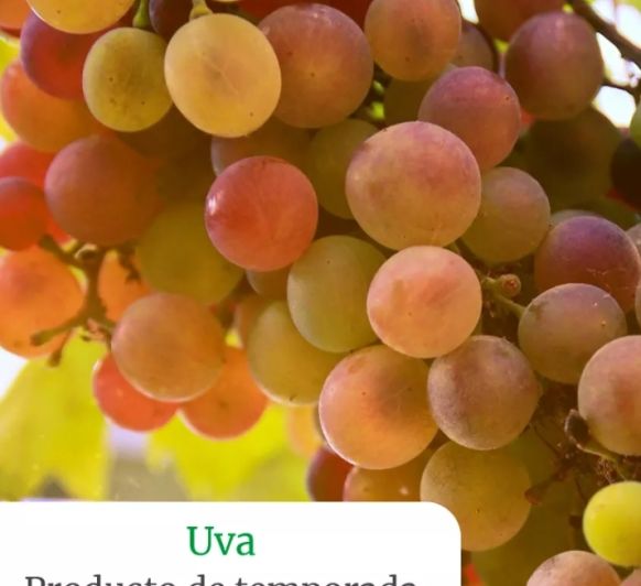 Smothie de uvas, piña y espinacas